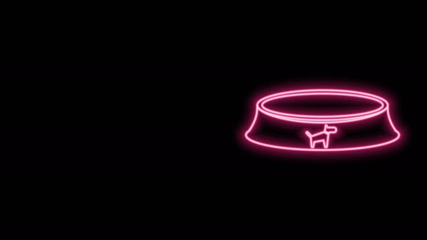 Светящаяся неоновая линия Чаша корма для кошек или собак, выделенная на черном фоне. Видеографическая анимация 4K — стоковое видео