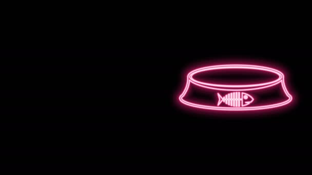 Светящаяся неоновая линия Чаша корма для кошек или собак, выделенная на черном фоне. Знак скелета рыбы. Видеографическая анимация 4K — стоковое видео