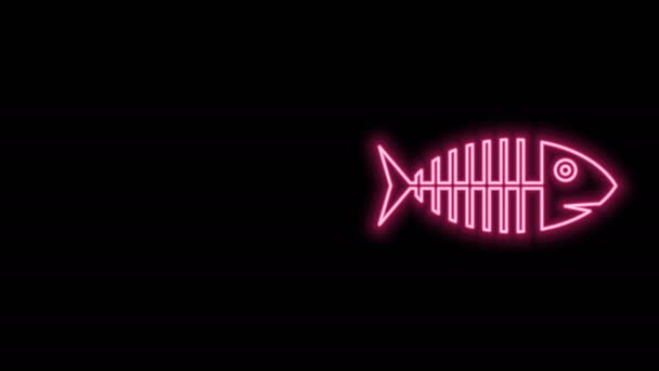 Linha de néon brilhante Ícone de esqueleto de peixe isolado no fundo preto. Sinal de osso de peixe. Animação gráfica em movimento de vídeo 4K — Vídeo de Stock