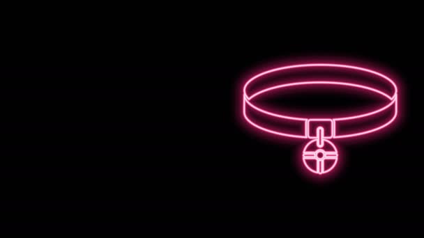 Glowing neon line Collar with name tag icon isolated on black background. Persediaan sederhana untuk hewan domestik. Kucing dan anjing peduli. Rantai hewan peliharaan. Animasi grafis gerak Video 4K — Stok Video