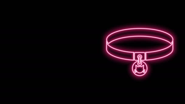 Ligne fluo lumineuse Collier chat avec icône de balise de nom isolé sur fond noir. Fournitures simples pour animaux domestiques. Soins des chats et des chiens. Chaînes de chat pour animaux. Animation graphique de mouvement vidéo 4K — Video