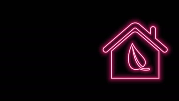 明亮的霓虹灯线生态友好的房子图标孤立在黑色背景.有叶子的生态屋。4K视频运动图形动画 — 图库视频影像