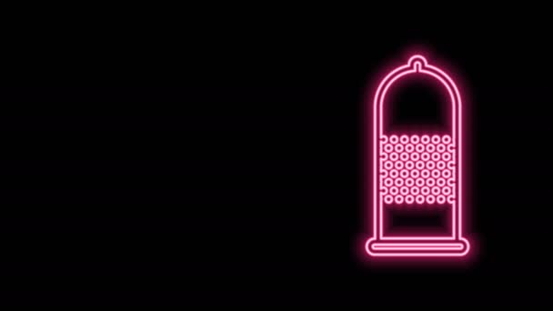 Leuchtende Neon Line Kondom Safe Sex-Symbol isoliert auf schwarzem Hintergrund. Sicheres Liebessymbol. Verhütungsmethode für Männer. 4K Video Motion Grafik Animation — Stockvideo