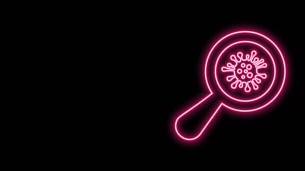 Zářící neonová čára Mikroorganismy pod ikonou lupy izolované na černém pozadí. Bakterie a bakterie, rakovina buněk, mikrobi, virus, houby. Grafická animace pohybu videa 4K — Stock video