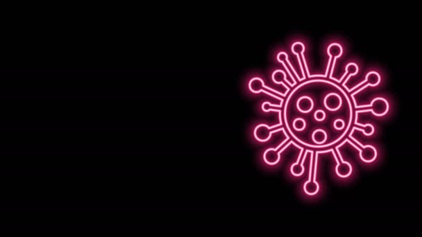 Glowing neon line Bacteria icon isolated on black background. Bakteri dan kuman, penyakit mikroorganisme menyebabkan kanker sel, mikroba, virus, jamur. Animasi grafis gerak Video 4K — Stok Video