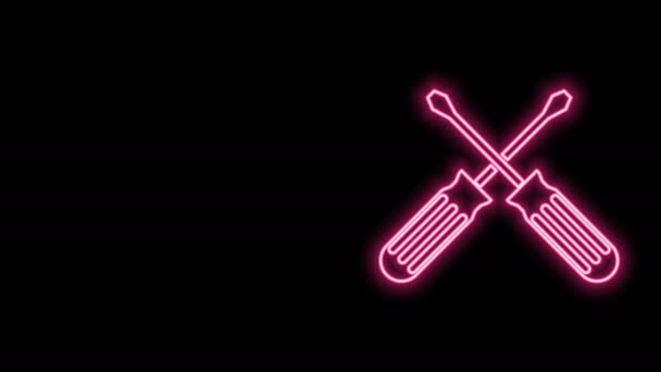 Ragyogó neon vonal Keresztezett csavarhúzó ikon elszigetelt fekete háttérrel. Szervizeszköz szimbólum. 4K Videó mozgás grafikus animáció — Stock videók
