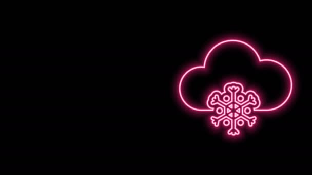 Zářící neonová čára Cloud s ikonou sněhu izolované na černém pozadí. Mrak se sněhovými vločkami. Ikona počasí. Sněhová tabule. Grafická animace pohybu videa 4K — Stock video