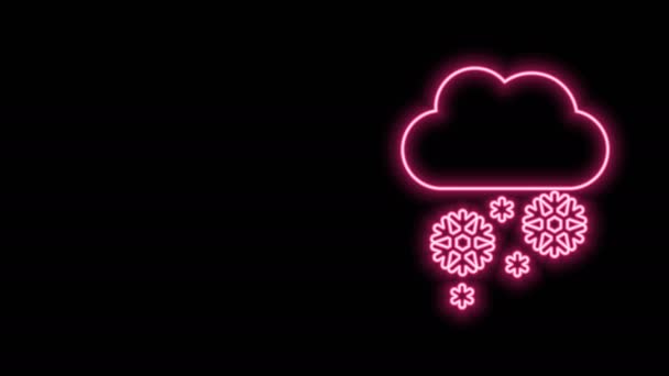 Świecąca neonowa linia Chmura z ikoną śniegu odizolowana na czarnym tle. Chmura z płatkami śniegu. Pojedyncza ikona pogody. Znak śniegu. 4K Animacja graficzna ruchu wideo — Wideo stockowe