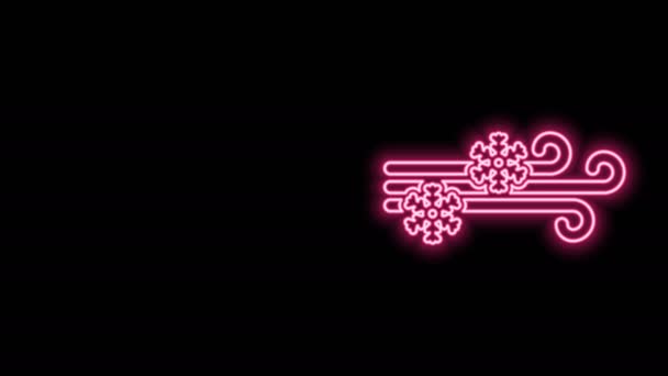 Glödande neon line Vind och snö ikon isolerad på svart bakgrund. Vädret blåste. 4K Video motion grafisk animation — Stockvideo