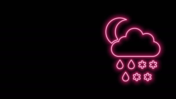 Zářící neonová čára Mrak se sněhem, deštěm a ikonou měsíce izolované na černém pozadí. Ikona počasí. Grafická animace pohybu videa 4K — Stock video