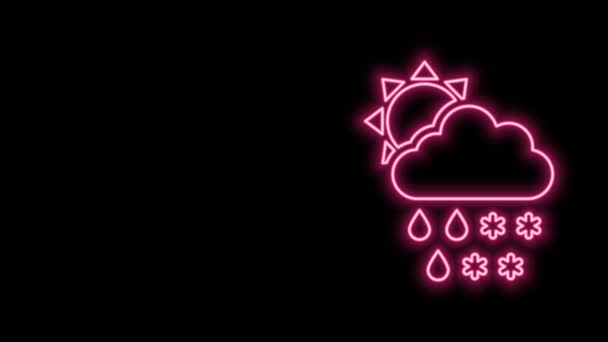 Gloeiende neon lijn Wolk met sneeuw, regen en zon pictogram geïsoleerd op zwarte achtergrond. Weersicoon. 4K Video motion grafische animatie — Stockvideo