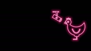 Parlayan neon hattı Chicken çiftliği ve kablosuz kontrol mobese güvenlik kamerası ikonu siyah arka planda izole edildi. 4K Video hareketli grafik canlandırması