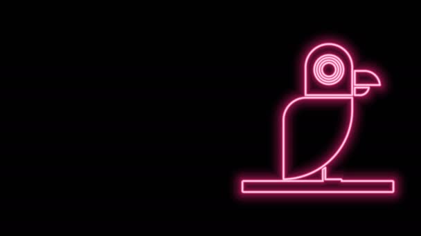 ネオンラインの輝き黒の背景に隔離された海賊オウムのアイコン。4Kビデオモーショングラフィックアニメーション — ストック動画