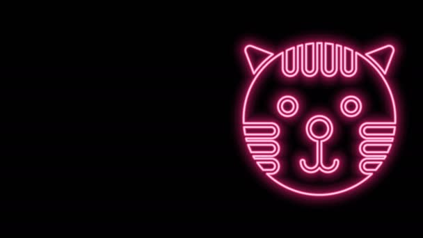 Linha de néon brilhante Ícone de signo do zodíaco do tigre isolado no fundo preto. Coleção de horóscopo astrológico. Animação gráfica em movimento de vídeo 4K — Vídeo de Stock