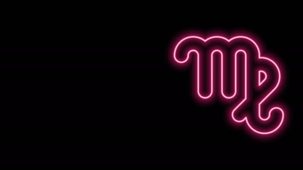 Zářící neonová čára Panna zvěrokruh znamení ikona izolované na černém pozadí. Astrologická sbírka horoskopů. Grafická animace pohybu videa 4K — Stock video