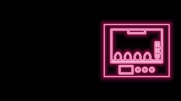 Glowing neon line Incubator for eggs icon isolated on black background. 4K Video motion graphic animation — Stock Video