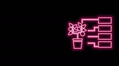 Parlayan neon hattı çiçek analiz simgesi siyah arkaplanda izole edildi. 4K Video hareketli grafik canlandırması