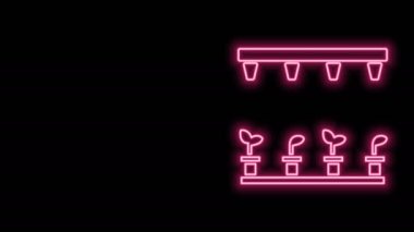 Parlayan neon hattı otomatik sulama ikonu siyah arkaplanda izole edildi. Su ekipmanları. Bahçe elemanı. Sprey tabanca ikonu. 4K Video hareketli grafik canlandırması