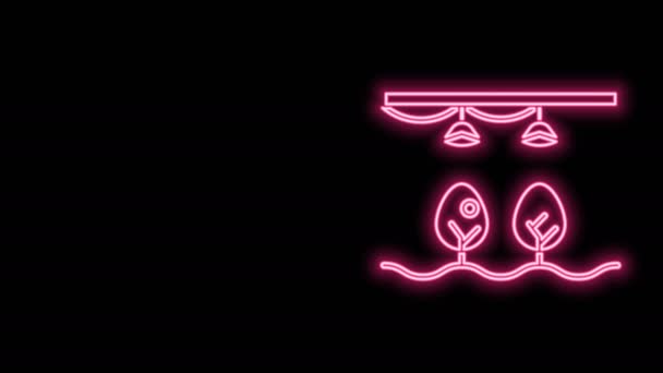 Linea neon incandescente Smart farm con lampadina e icona simbolo vegetale isolata su sfondo nero. Animazione grafica 4K Video motion — Video Stock