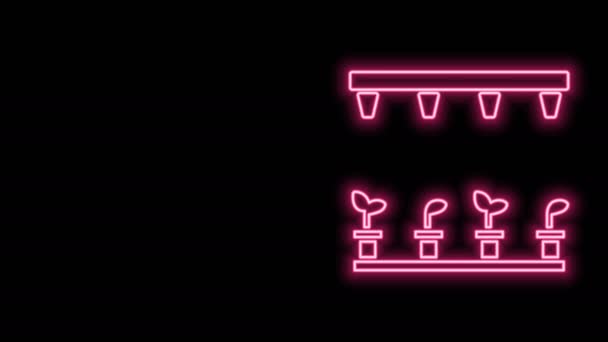 Glowing neon line Automatic irrigation sprinklers icon isolated on black background. Watering equipment. Garden element. Spray gun icon. 4K Video motion graphic animation — Stock Video