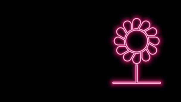 Gloeiende neon lijn Bloem pictogram geïsoleerd op zwarte achtergrond. 4K Video motion grafische animatie — Stockvideo