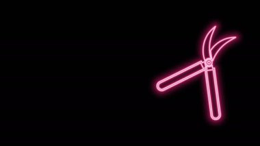 Siyah arkaplanda izole edilmiş simgeyi budamak için parlayan neon çizgisi el yapımı makas. Ahşap saplı budama makası. 4K Video hareketli grafik canlandırması