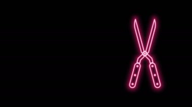 Siyah arkaplanda izole edilmiş simgeyi budamak için parlayan neon çizgisi el yapımı makas. Ahşap saplı budama makası. 4K Video hareketli grafik canlandırması