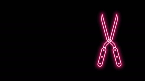 Leuchtende Neon-Linie Gardening handgemachte Schere zum Trimmen Symbol isoliert auf schwarzem Hintergrund. Baumscheren mit Holzgriffen. 4K Video Motion Grafik Animation — Stockvideo