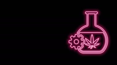 Esrar ya da kenevir yaprağı simgesiyle siyah arkaplanda parlayan neon hattı test tüpü. Araştırma konsepti. Laboratuvar CBD yağ konsepti. 4K Video hareketli grafik canlandırması