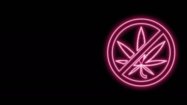 Parlayan neon hattı. Esrar ya da kenevir yaprağı ikonunu siyah arkaplanda izole edin. Marihuana içmek yok. Kenevir sembolü. 4K Video hareketli grafik canlandırması