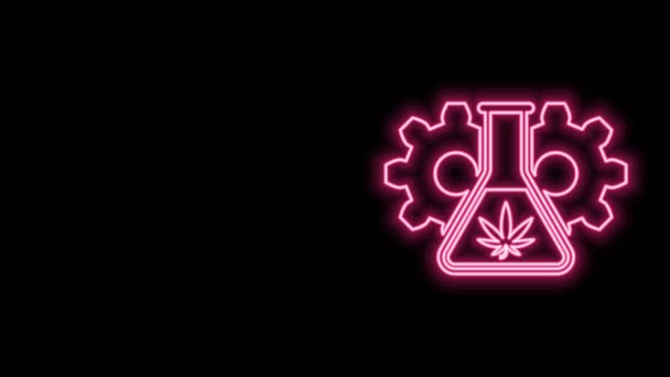 Gloeiende neon lijn Chemische reageerbuis met marihuana of cannabis blad pictogram geïsoleerd op zwarte achtergrond. Onderzoeksconcept. Laboratorium CBD olie concept. 4K Video motion grafische animatie — Stockvideo