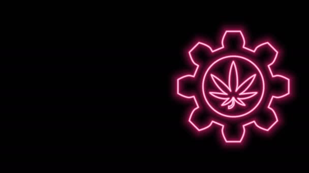 Linha de néon brilhante Tubo de teste químico com ícone de folha de maconha ou cannabis isolado em fundo preto. Conceito de pesquisa. Conceito de óleo CBD de laboratório. Animação gráfica em movimento de vídeo 4K — Vídeo de Stock