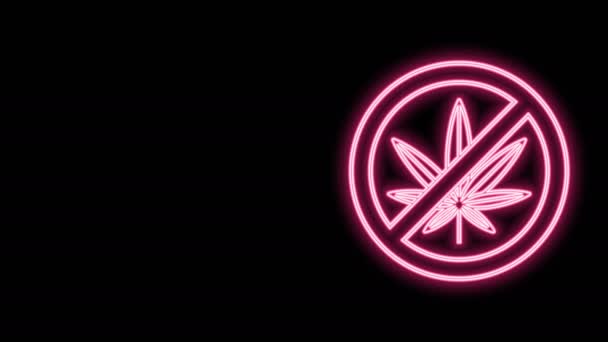 Glowing neon line Stop marijuana or cannabis leaf icon isolated on black background. No smoking marijuana. Hemp symbol. 4K Video motion graphic animation — Stock Video