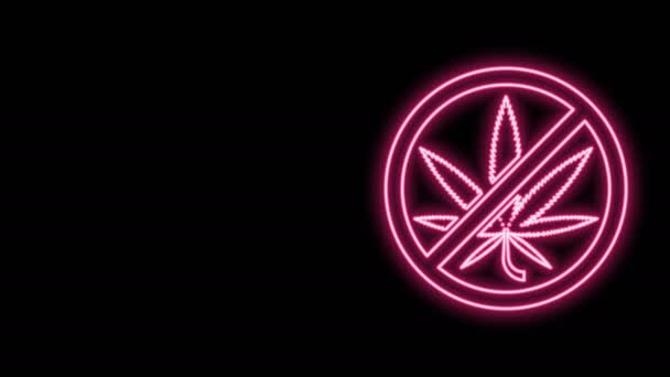 Glödande neonlinje Stoppa marijuana eller cannabisbladsikonen isolerad på svart bakgrund. Ingen rökning av marijuana. Hampa symbol. 4K Video motion grafisk animation — Stockvideo