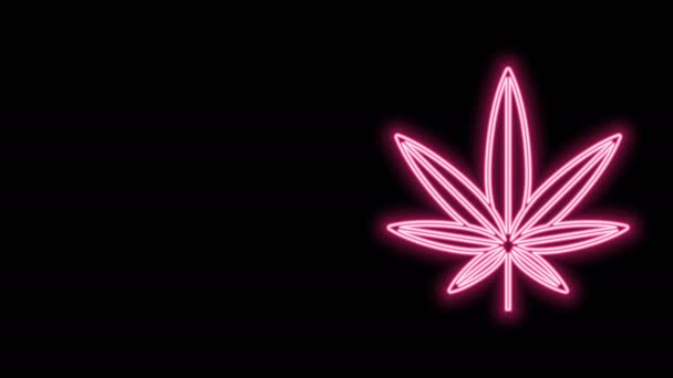 Linha de néon brilhante Ícone de folha de maconha medicinal ou cannabis isolado no fundo preto. Símbolo de cânhamo. Animação gráfica em movimento de vídeo 4K — Vídeo de Stock