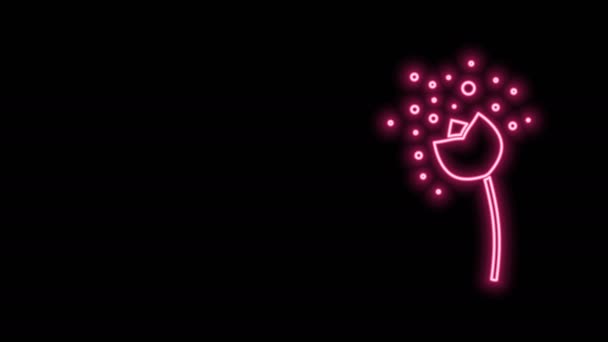 Świecąca linia neonowa Kwiat produkujący pyłek w ikonie atmosfery izolowanej na czarnym tle. 4K Animacja graficzna ruchu wideo — Wideo stockowe