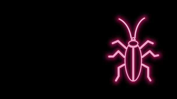 Светящаяся неоновая линия Значок таракана выделен на черном фоне. Видеографическая анимация 4K — стоковое видео
