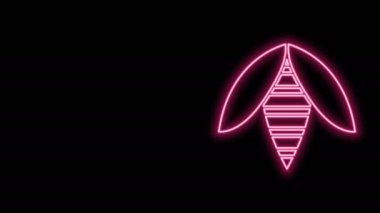 Parlayan neon çizgisi simgesi siyah arkaplanda izole edildi. Tatlı doğal yemek. Bal arısı ya da kanat sembollü apis. Uçan böcek. 4K Video hareketli grafik canlandırması