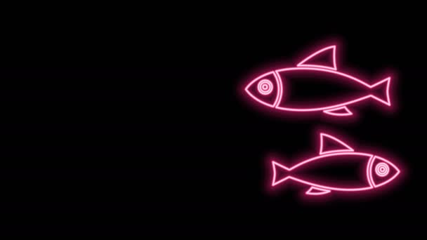 Сяюча неонова лінія Піктограма риби ізольована на чорному тлі. 4K Відео рух графічна анімація — стокове відео
