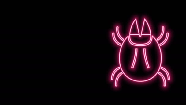 Glödande neon linje Parasit kvalster ikon isolerad på svart bakgrund. 4K Video motion grafisk animation — Stockvideo