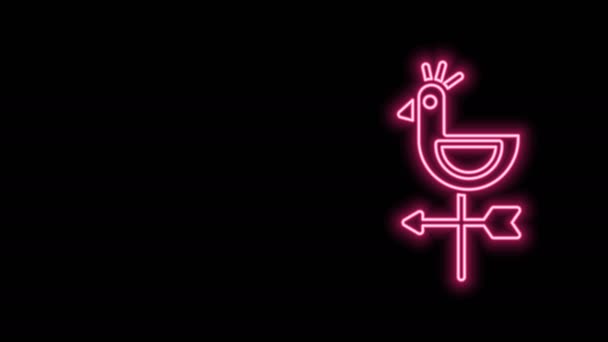 Ragyogó neonvonal Kakasvipera ikon elszigetelt fekete háttérrel. Időjósló jel. Szélkakas. 4K Videó mozgás grafikus animáció — Stock videók