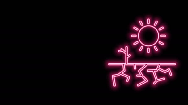 Linha de néon brilhante Ícone de seca isolado no fundo preto. Animação gráfica em movimento de vídeo 4K — Vídeo de Stock