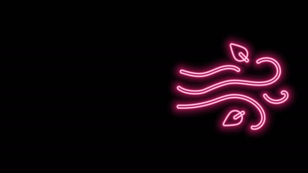 Leuchtende Leuchtschrift Wind-Symbol isoliert auf schwarzem Hintergrund. Windiges Wetter. 4K Video Motion Grafik Animation — Stockvideo