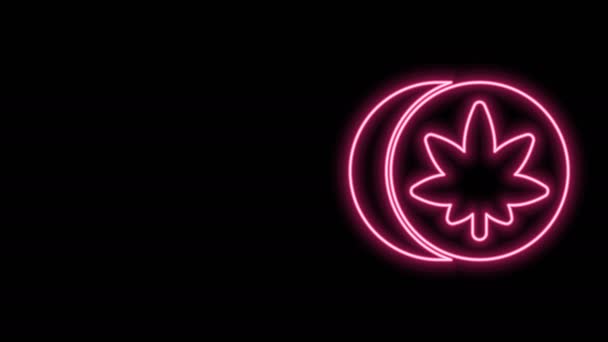 Glödande neon line Herbal ecstasy tabletter ikon isolerad på svart bakgrund. 4K Video motion grafisk animation — Stockvideo