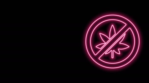 Leuchtende Leuchtschrift Stop Marihuana oder Cannabisblatt-Symbol isoliert auf schwarzem Hintergrund. Kein Rauchen von Marihuana. Hanf-Symbol. 4K Video Motion Grafik Animation — Stockvideo