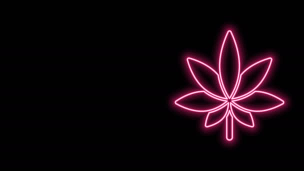 Glödande neon line Medicinsk marijuana eller cannabis blad ikon isolerad på svart bakgrund. Hampa symbol. 4K Video motion grafisk animation — Stockvideo