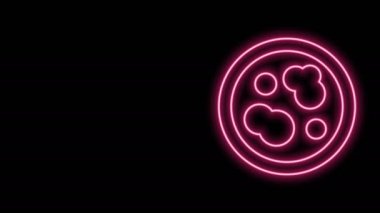 Siyah zemin üzerinde izole edilmiş bakteri simgesi olan parlak neon hattı Petri kabı. 4K Video hareketli grafik canlandırması