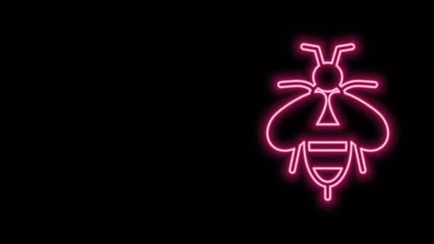 Светящийся неоновая линия Пчела значок изолирован на черном фоне. Сладкая натуральная еда. Медовая пчела или апис с символом крыльев. Летающее насекомое. Видеографическая анимация 4K — стоковое видео