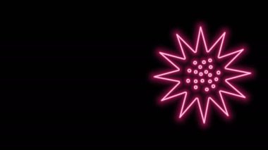 Parlayan neon hattı deniz kestanesi simgesi siyah arkaplanda izole edildi. 4K Video hareketli grafik canlandırması