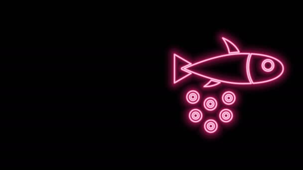 Siyah arka planda izole edilmiş havyar ikonlu parlak neon hattı Fish. 4K Video hareketli grafik canlandırması — Stok video
